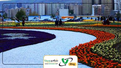 طراحی سایت در ارومیه