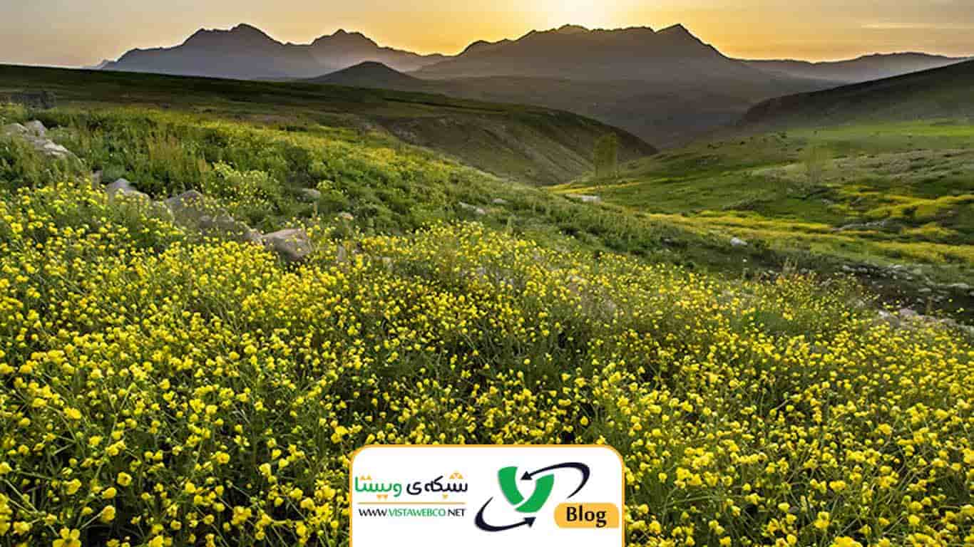 طراحی سایت در شهرکرد