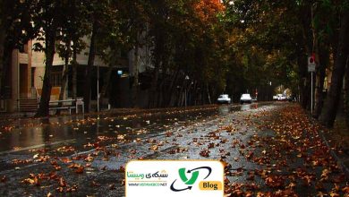 طراحی سایت در ولیعصر